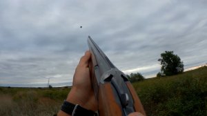 Начал охоту на утку, закончил на голубя.