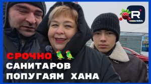 Ольга Уралочка _Срочно Санитаров _Попугаям хана _Обзор _Ольга Уралочка live