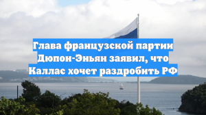 Дюпон-Эньян: Каллас хочет разделить Россию на несколько маленьких государств