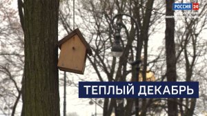 ВЕСТИ 24 Санкт-Петербург от 01.12.2025