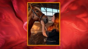 Героиня "Модного приговора" рассказала, как храп друга поспособствовал покупке лошади