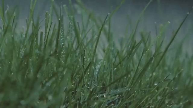 Дождь и гром для сна - звуки дождя 2 Часа