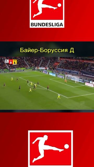 Байер-Боруссия(Д)