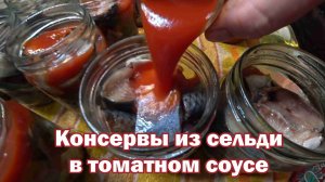 Домашние консервы из селедки в томатном соусе