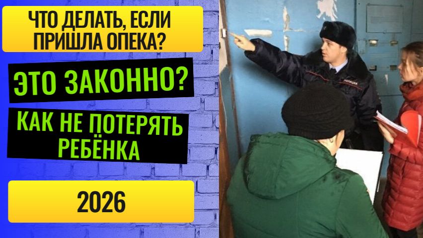 Что делать, если к вам пришла опека? Как подготовиться и избежать проблем