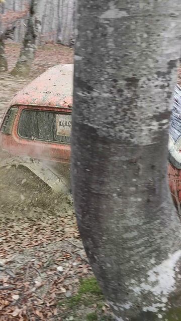 Нива m111 турбо на тракторах Бойко