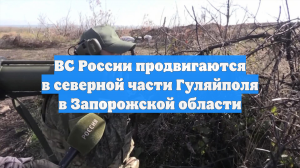 ВС России продвигаются в северной части Гуляйполя в Запорожской области