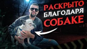 ШОКИРУЮЩЕЕ УБИЙСТВО В МОСКВЕ ПОПАЛО НА КАМЕРУ | Трагическая история Илья Грибов