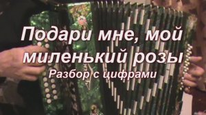 Подари мне, мой миленький розы 094