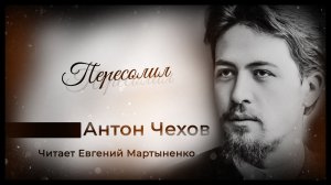 Антон Чехов — Пересолил | Юмористический рассказ | Аудиокнига