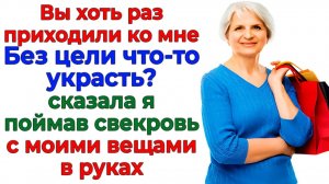 Муж защищал свекровь-воровку! Забрала ключи и выгнала к маме! | Истории Из Жизни | Реальная История