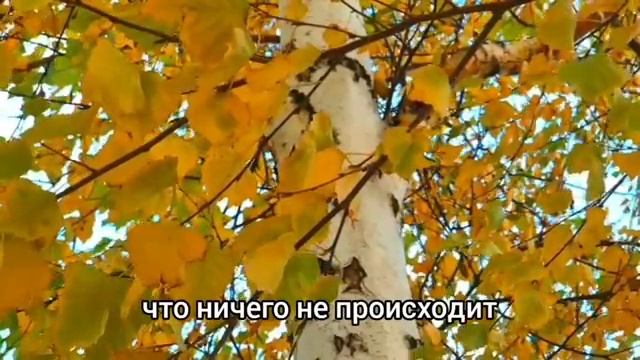 Катя заметила, что подруга косо смотрит на неё .А проследив за ней, увидела кто у неё любовник... смотреть онлайн