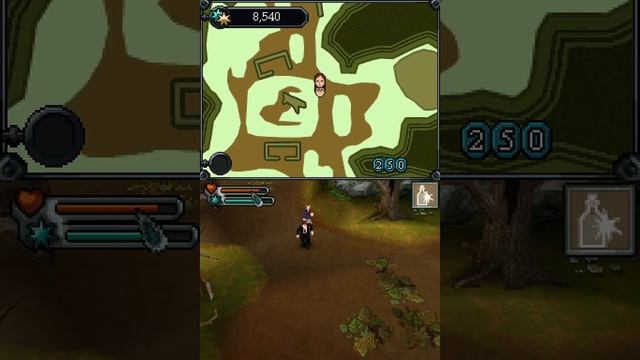 Harry Potter and the Deathly Hallows: Part 1 (2010) [Nintendo DS]