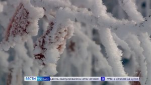 Первые дни календарной зимы в Кузбассе принесут морозы и гололёд