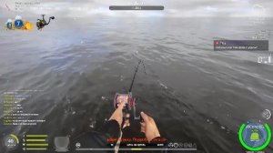 🛑ФАРМ И ПРОКАЧКА НА МОРЕ ⚡️ РУЛЕТКА🔥 🆂🆃🆁🅴🅰️🅼#РусскаяРыбалка4 #рр4 #rr4