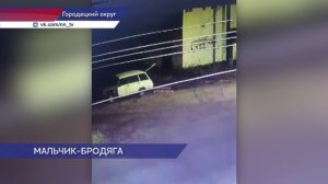 Украденный у пешеходного перехода в Городце манекен вернули на место
