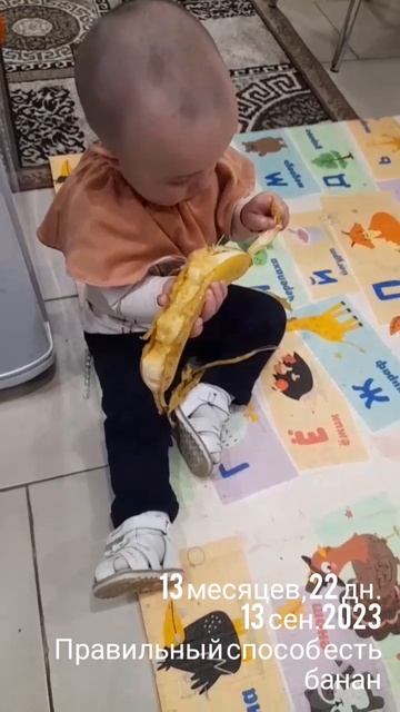 13 мес.,22 дн.Правильный способ есть банан (13 сен.2023).mp4
