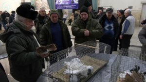 НОВОСТИ УТРА – 02 декабря 2025