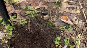 Иногда жизнь преподносит такие уроки, что хочется их прогулять.