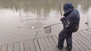 Основной водоём.Форель