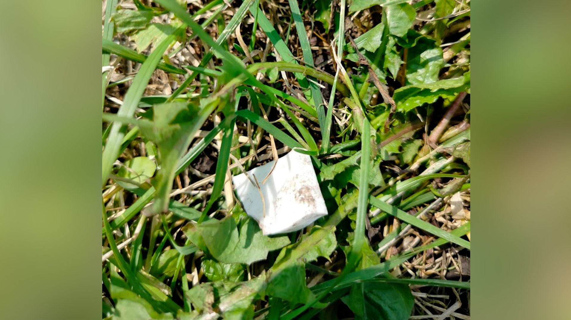 Уголовное обезображивание