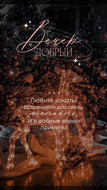 Добрый вечер