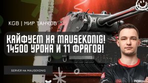 SERVER ★ КАЙФУЕМ НА MAUSEKONIG! 14500 УРОНА И 11 ФРАГОВ!