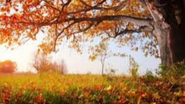 3 декабря - День Прокла. Традиции и народные приметы