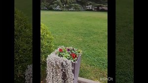 Сказочно красивая территория в гостинице Сочи Гранд Отель Жемчужина****