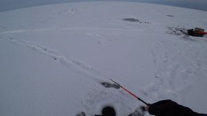 Рыбалка в Ветвенике