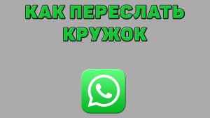 Как переслать кружок в Ватсапе