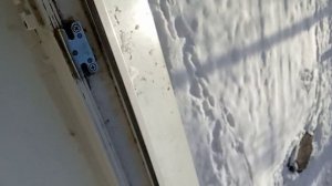 Минус моя Шелли # да я спалила голос "_