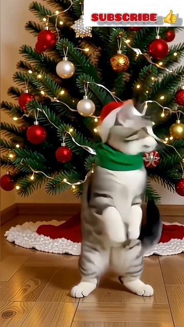 #новыйгод #cat #кот #котик #funny #смешной #танцует смотреть онлайн