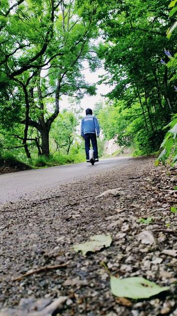 Горы - это любовь   горы лес моноколесо кавказ пятигорск цитаты мудрость кмв