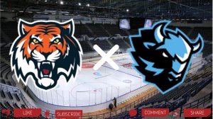 Амур - Динамо Минск