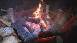 Отдых и рыбалка под присмотром лесной охраны.