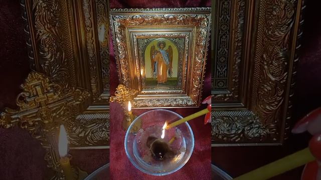 СКИД ОТ ПОГОСТНОЙ ПОРЧИ, ПРИВЯЗКИ ПОКОЙНОГО.