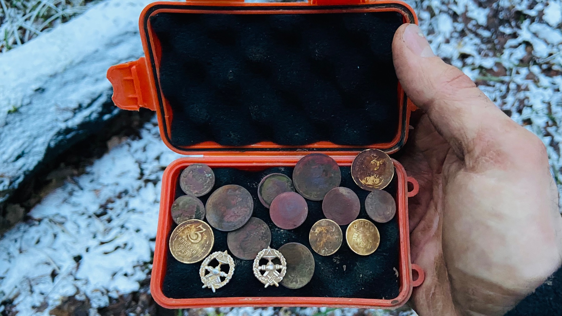 Коп в пригородном лесу. Поздняя осень 2