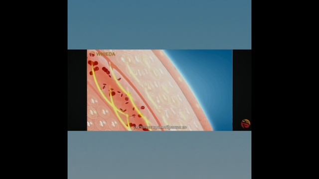 Обзор лучших подарков к любому празднику! Выбирайте для себя лучшее! смотреть онлайн