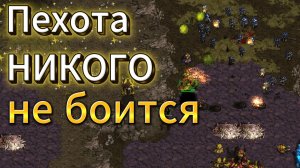 Мини Джаедонг против мини Солкей - Хороший ТвЗ с качелями и непонятным финалом - Старкрафт Брудвар