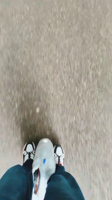 Восхищаюсь горным лесом  горы лес моноколесо  кавказ  кмв романтика