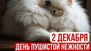 2 ДЕКАБРЯ.С ДНЁМ ПУШИСТОЙ НЕЖНОСТИ!