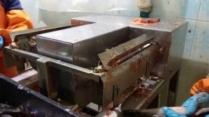 Рыборазделочная машина РМ-200. NVTT.RU