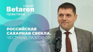 Все о гибридах сахарной свеклы российской селекции
