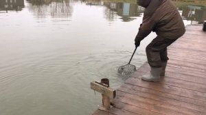 поимка форели на блесну