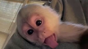 играю под нг музыку