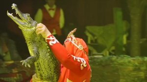 Цирк-шапито "Кудзинов" Сказка «Приключения Бабы Яги в Цирке»