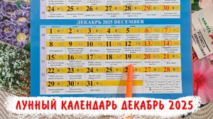 Лунный посевной календарь огородника на Декабрь 2025. Благоприятные дни, лучшее время для посевов!