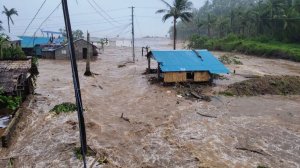 Смертоносные наводнения унесли жизни свыше тысячи человек на Шри-Ланке, в Индонезии и Таиланде