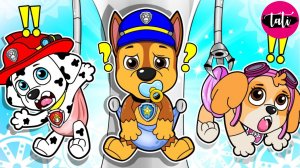 Щенячий патруль и Маршалл. Залипательное видео. Мультфильм для детей и малышей. Анимация